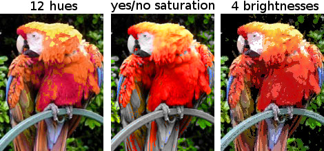 parrot-quantized.jpg